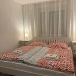 Cozy Messe